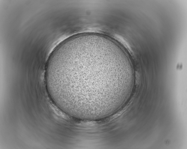 X0000093621260200711051232