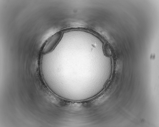 X0000093621261200711051232