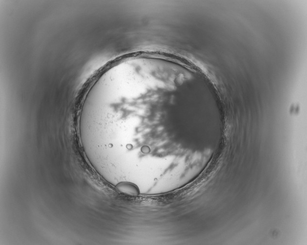X0000093621263200711051232