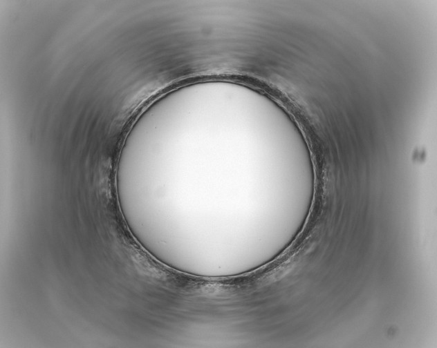 X0000093621265200711051232