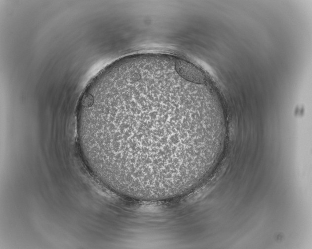 X0000093621267200711051232
