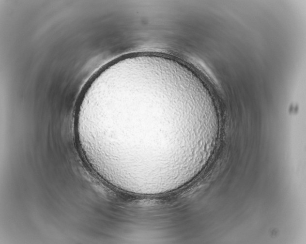 X0000093621268200711051232