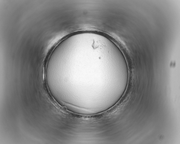X0000093621269200711051232