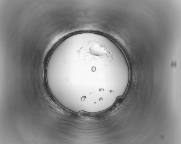 X0000093621270200711051232