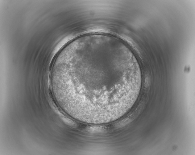 X0000093621274200711051232