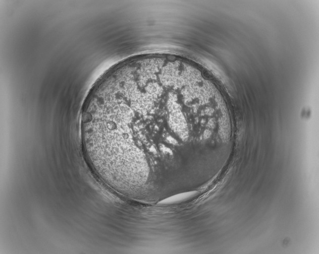 X0000093621275200711051232