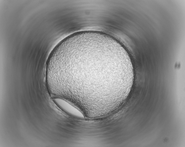 X0000093621276200711051232