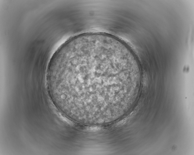 X0000093621278200711051232