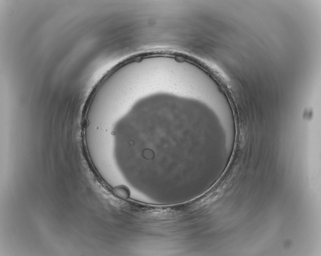 X0000093621279200711051232