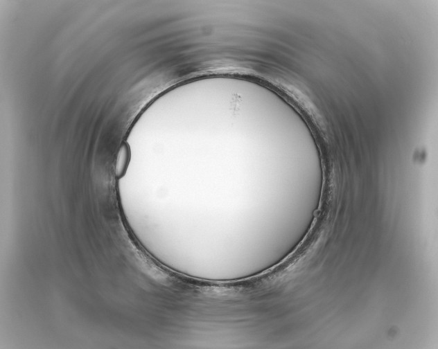 X0000093621281200711051232