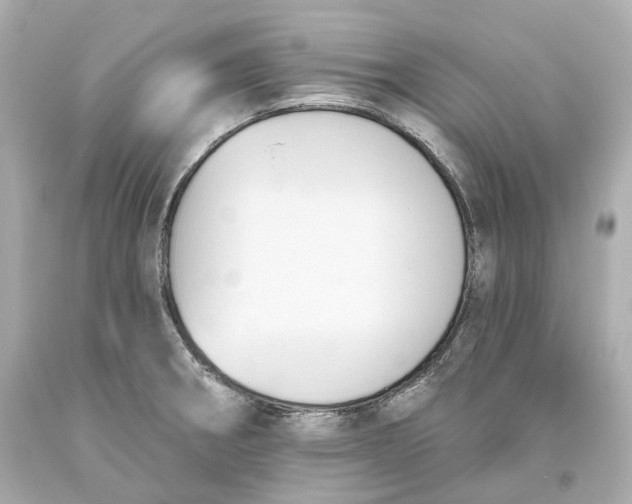 X0000093621282200711051232