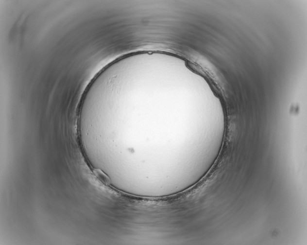 X0000093621284200711051232