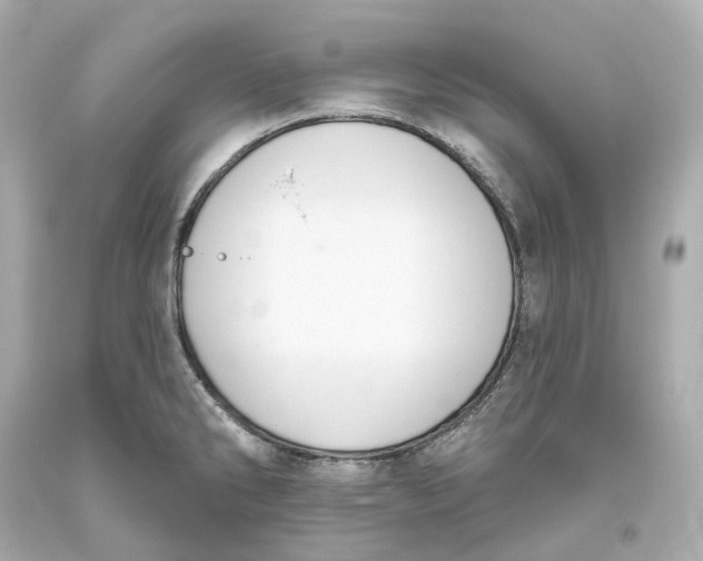 X0000093621286200711051232