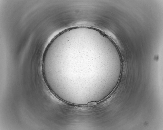 X0000093621288200711051232