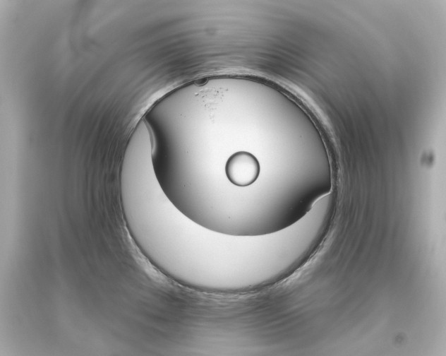 X0000093621289200711051232