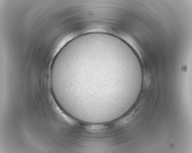 X0000093621290200711051232