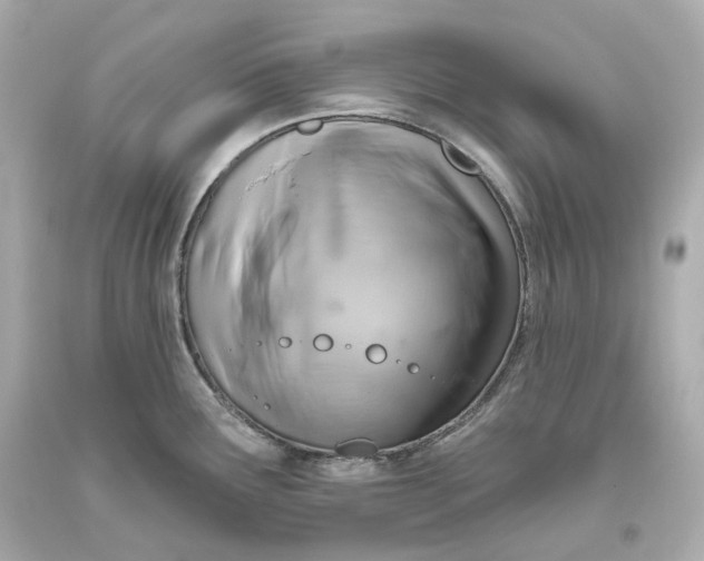X0000093621291200711051232