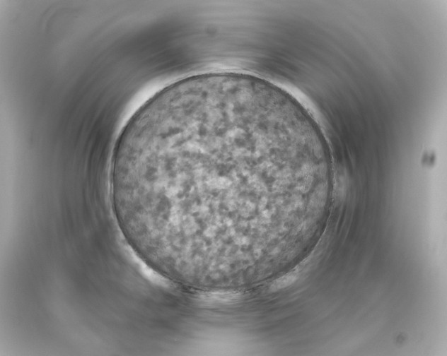 X0000093621294200711051232