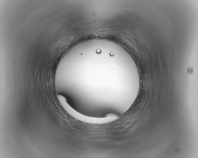 X0000093621298200711051231