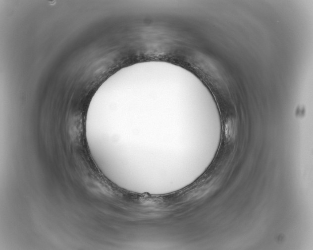 X0000093621299200711051231