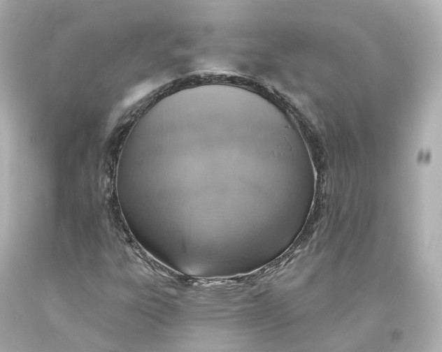 X0000093621303200711051231