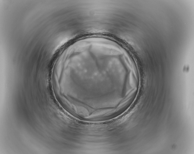 X0000093621306200711051231