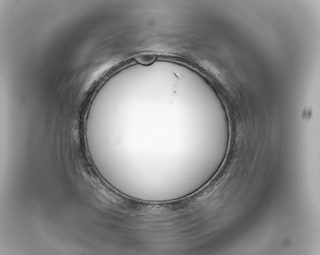 X0000093621307200711051231
