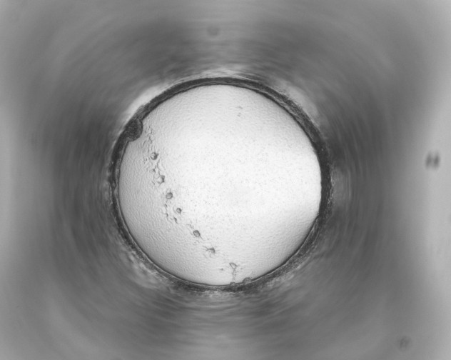 X0000093621308200711051231