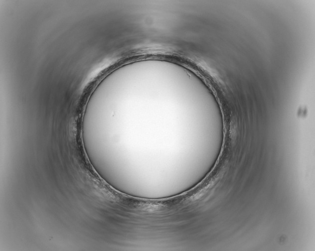 X0000093621309200711051231