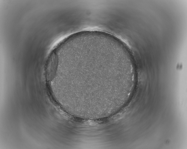 X0000093621311200711051231