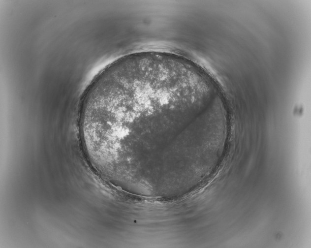 X0000093621312200711051231