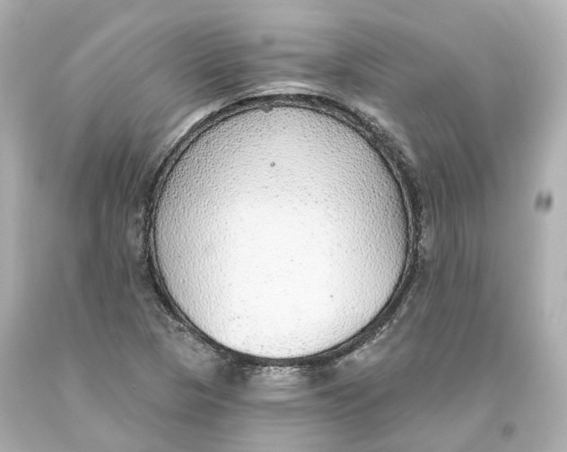 X0000093621313200711051231