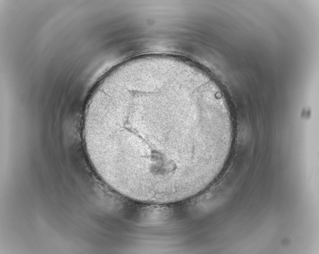 X0000093621314200711051231