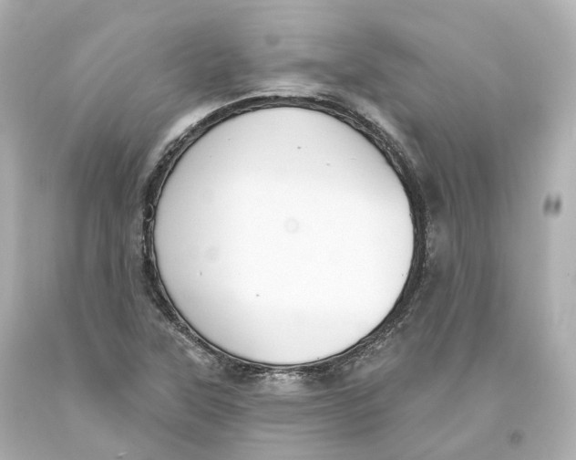 X0000093621315200711051231