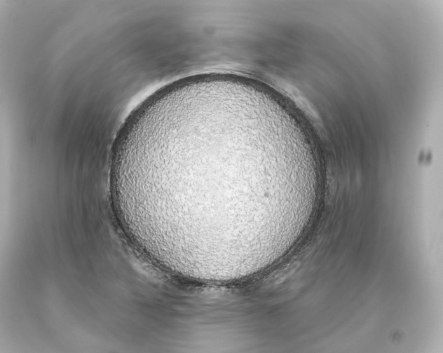 X0000093621316200711051231