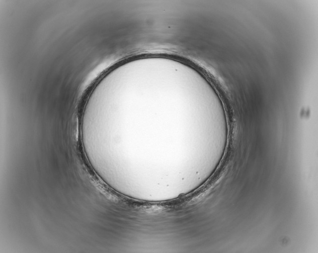 X0000093621317200711051231