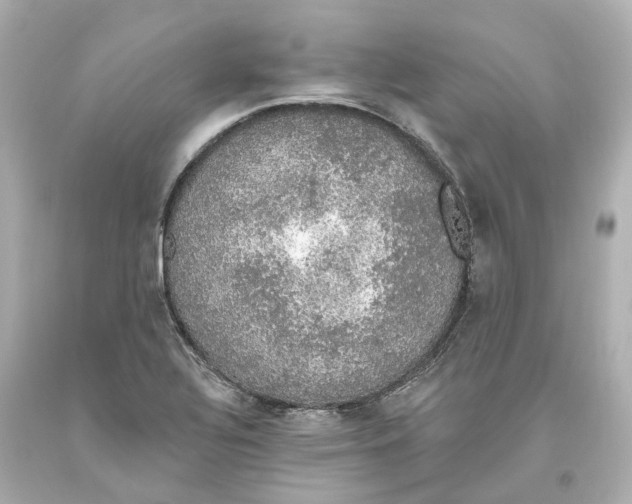 X0000093621320200711051231