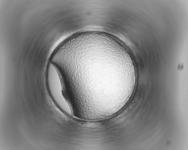 X0000093621325200711051231
