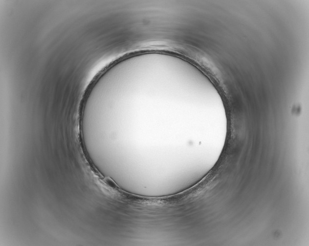 X0000093621328200711051231