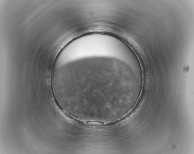 X0000093621329200711051231