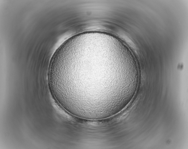 X0000093621330200711051231