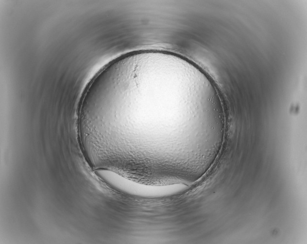 X0000093621332200711051231