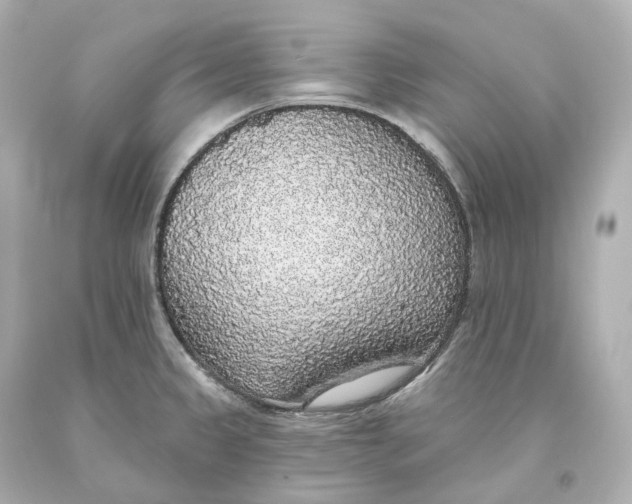 X0000093621333200711051231