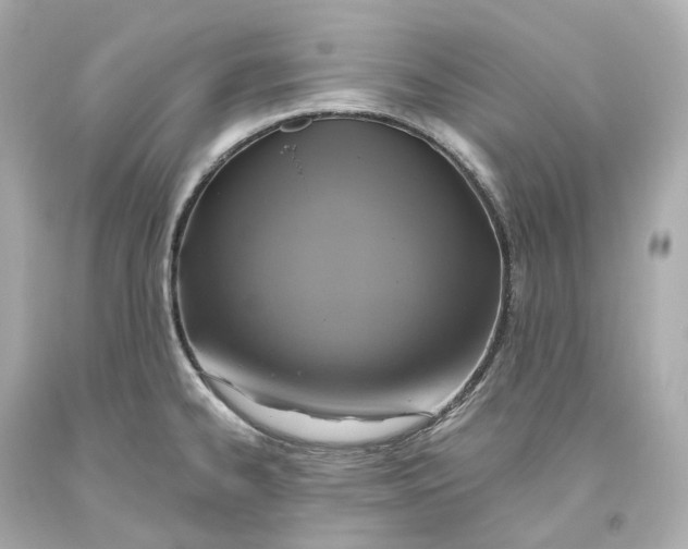 X0000093621334200711051231