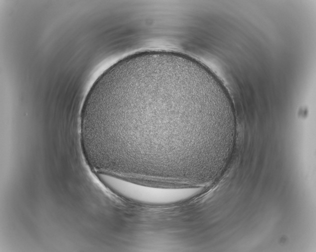 X0000093621335200711051232