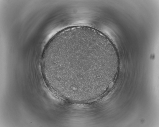 X0000093621336200711051232