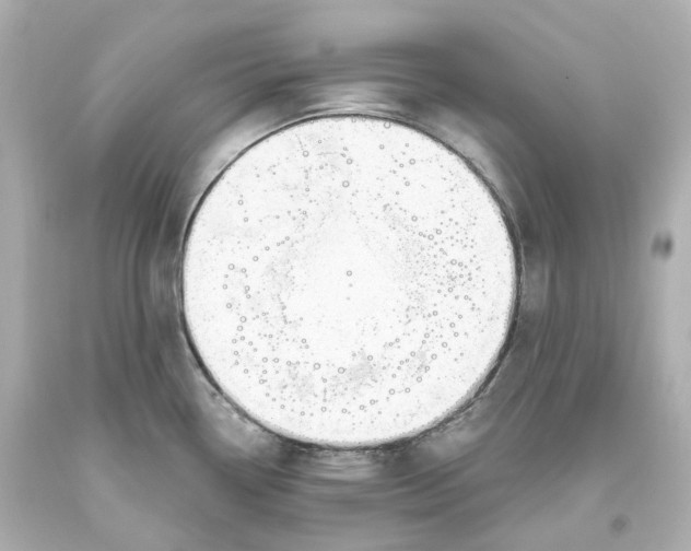 X0000093621338200711051232