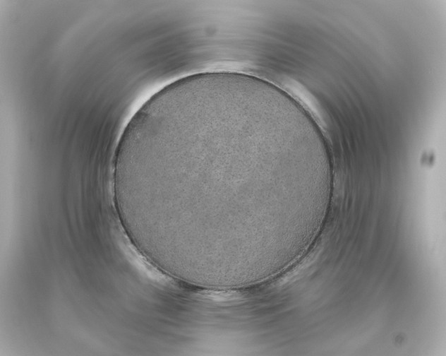 X0000093621340200711051232