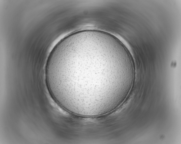 X0000093621341200711051232
