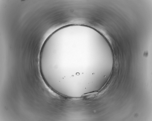 X0000093621343200711051232